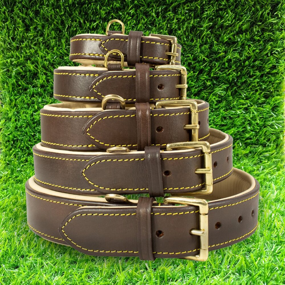 GENUINE LEATHER Dog Collar with Heavy Duty Adjustable Padded Collar